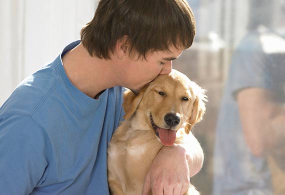 can dogs get herpes simplex 1 from humans