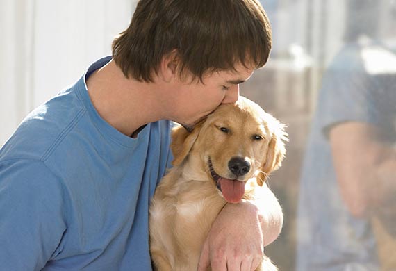 can dogs transmit disease to humans