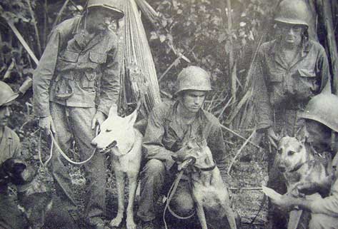 World War II’s Dogs for Defense