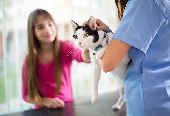 5 Essential Cat Vaccines