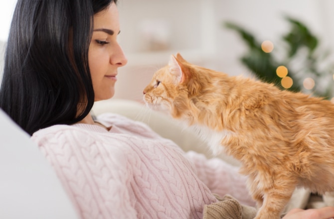 6 Things Your Cat Is Trying to Tell You