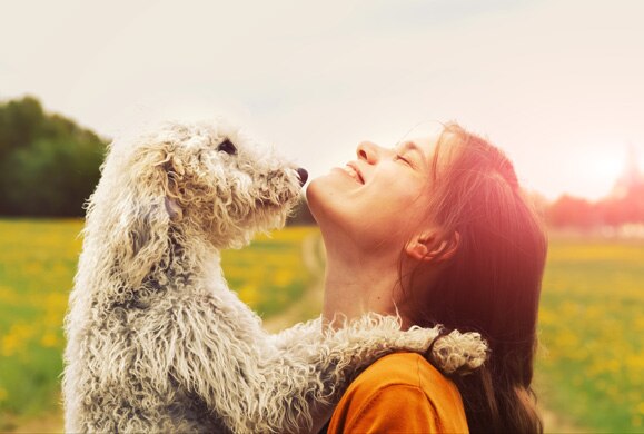 10 Easy Ways to Show Your Dog Affection