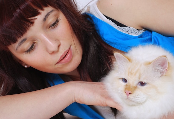 8 Most Affectionate Cat Breeds