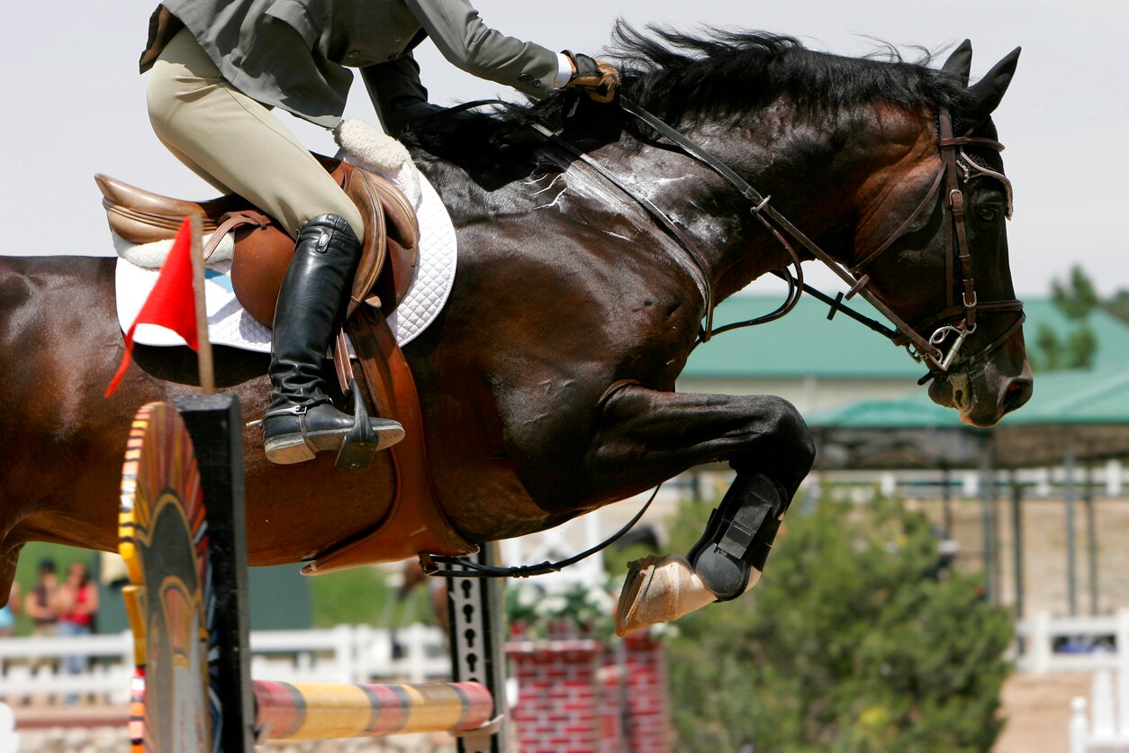 A horse and rider soar over a jump during an equestrian showjumping event