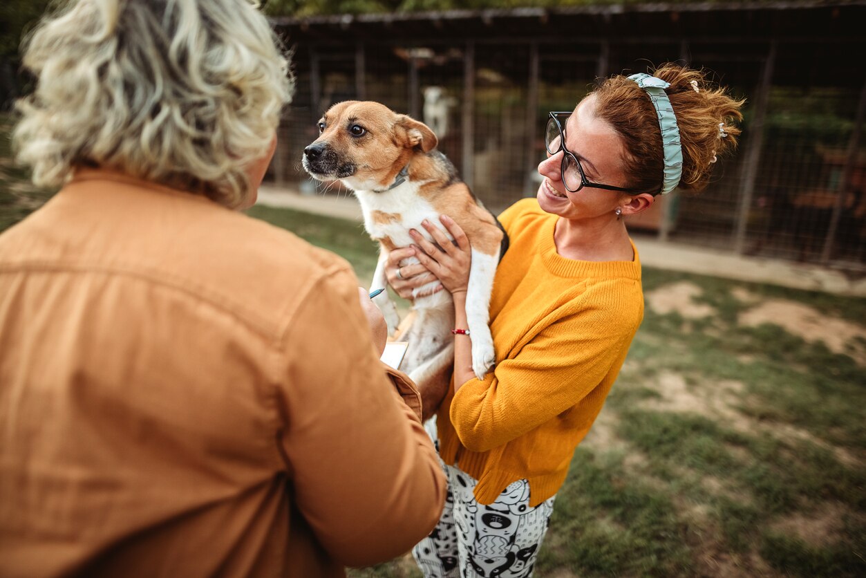 What to Know Adopting a Diabetic Dog PetMD
