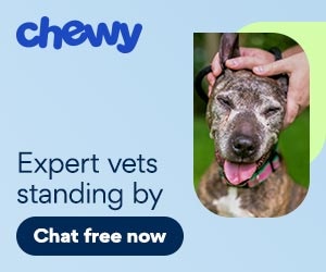 cwav add for expert vets standing by for dogs