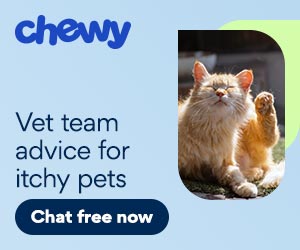 cwav ad for itchy cat skin