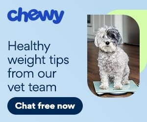 CWAV dog nutrition