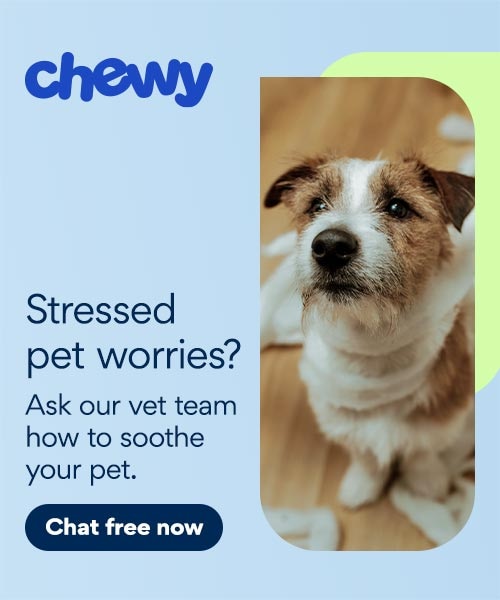Stressed Dog CWAV ingress UPDATED BANNER