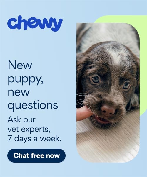 new puppy CWAV ingress NEW BANNER