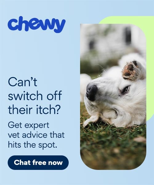 Itchy Dog CWAV Ingress NEW BANNER