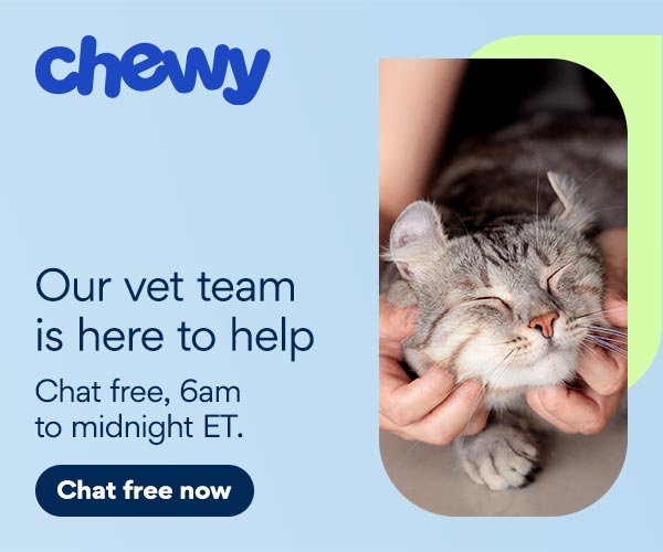 our vet team is here to help CWAV banner