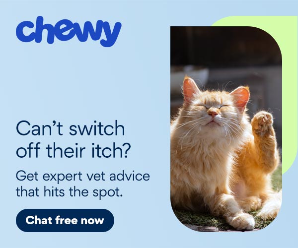 CWAV banner for itchy cat