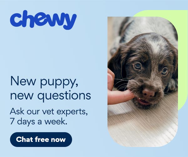 cwav ad for new puppy help