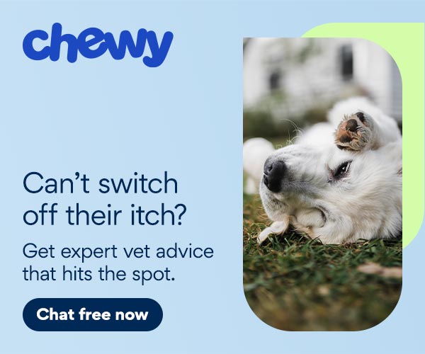 CWAV ad for itchy dog
