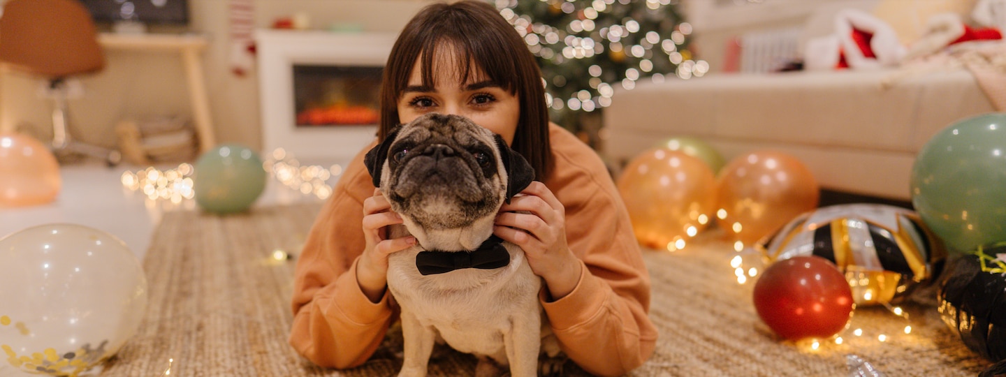 Dog celebrating new year