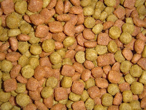 Pet Food (What You Need to Know) for Your Pet's Sake