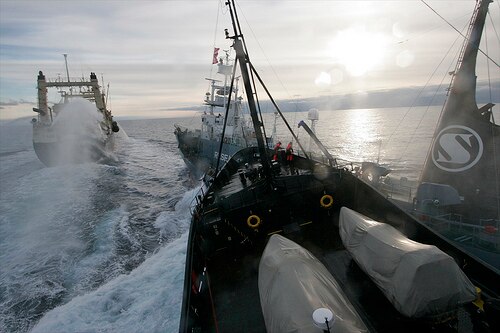 Japan Brings Home Embattled Whaling Fleet