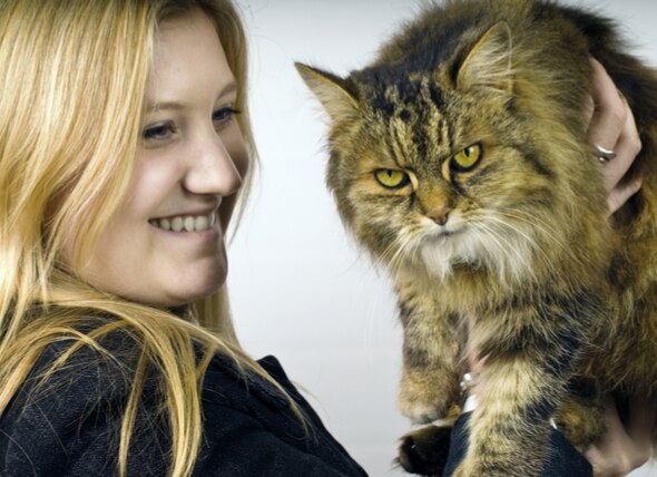 Understanding Cat Behavior: Getting Visitors to Respect Your Cat’s Space