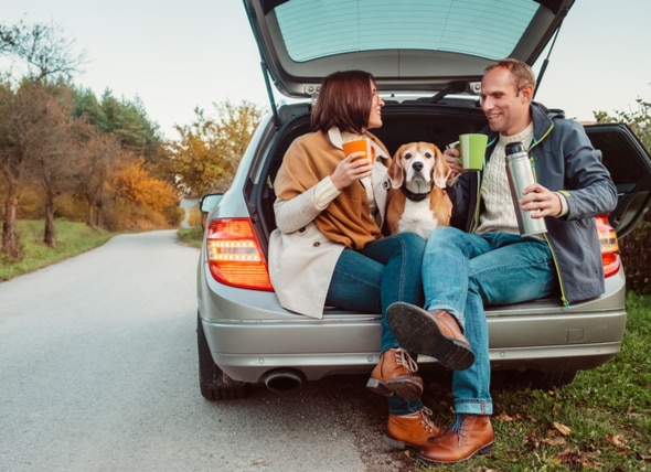 Essential Checklist for a Road Trip With Dogs