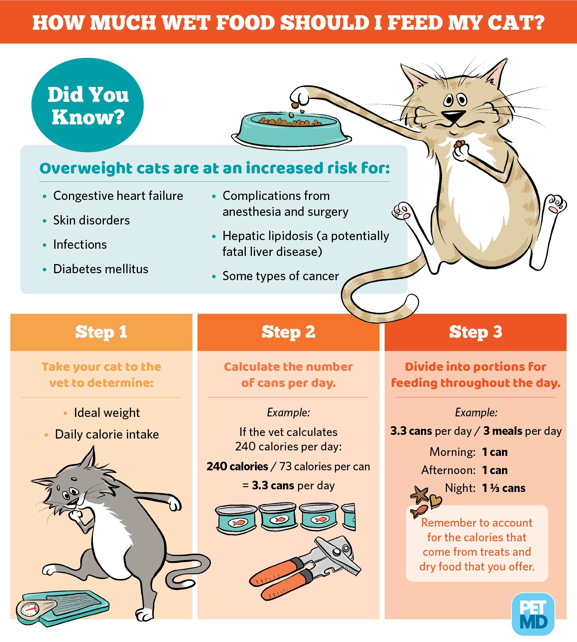 calculating-how-much-wet-food-to-feed-a-cat-guide-petmd