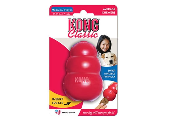 https://image.petmd.com/files/Kong-Rubber-Dog-Chew-Toy.jpg