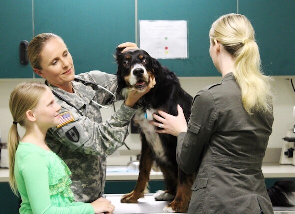 Army Veterinarians: On a Mission to Keep Military Dogs Healthy
