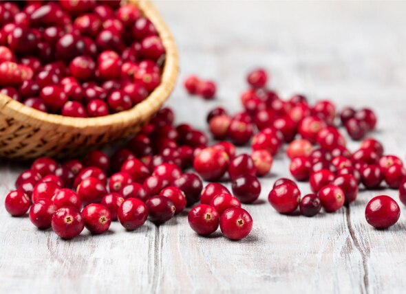 Healthy Foods Checklist: Cranberry for Dogs