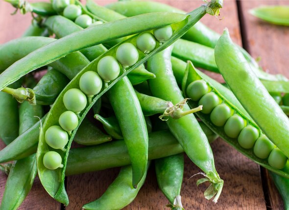 Healthy Foods Checklist: Peas for Dogs