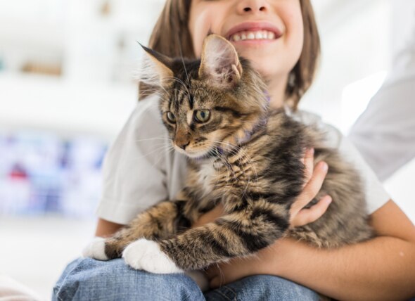 和猫一起长大的孩子能预防哮喘吗?