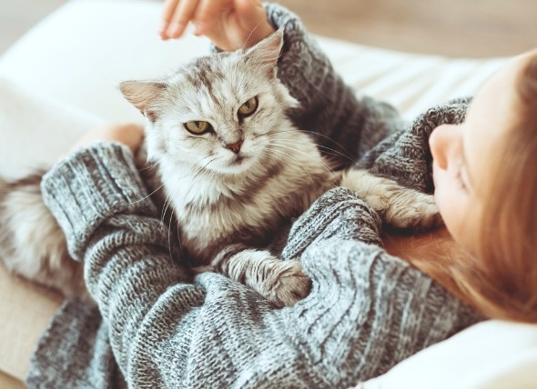 The Cat or You? Coping with Pet Allergies