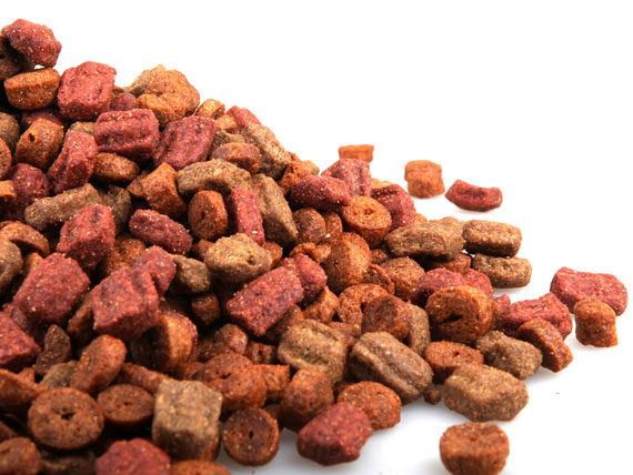 5 Dog Food Storage Mistakes You DON T Want to Make PetMD