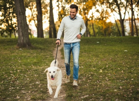 The Responsible Pet Owner's Checklist for Taking Care of a Pet