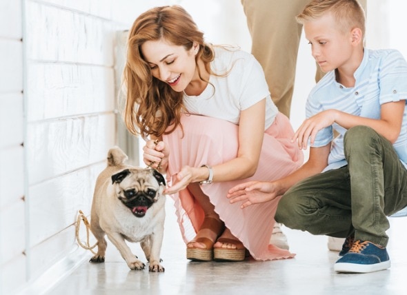 10 Tips for the First 30 Days After Adopting a Dog