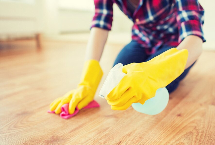 5 Cleaning Products That Could Harm Your Dog 