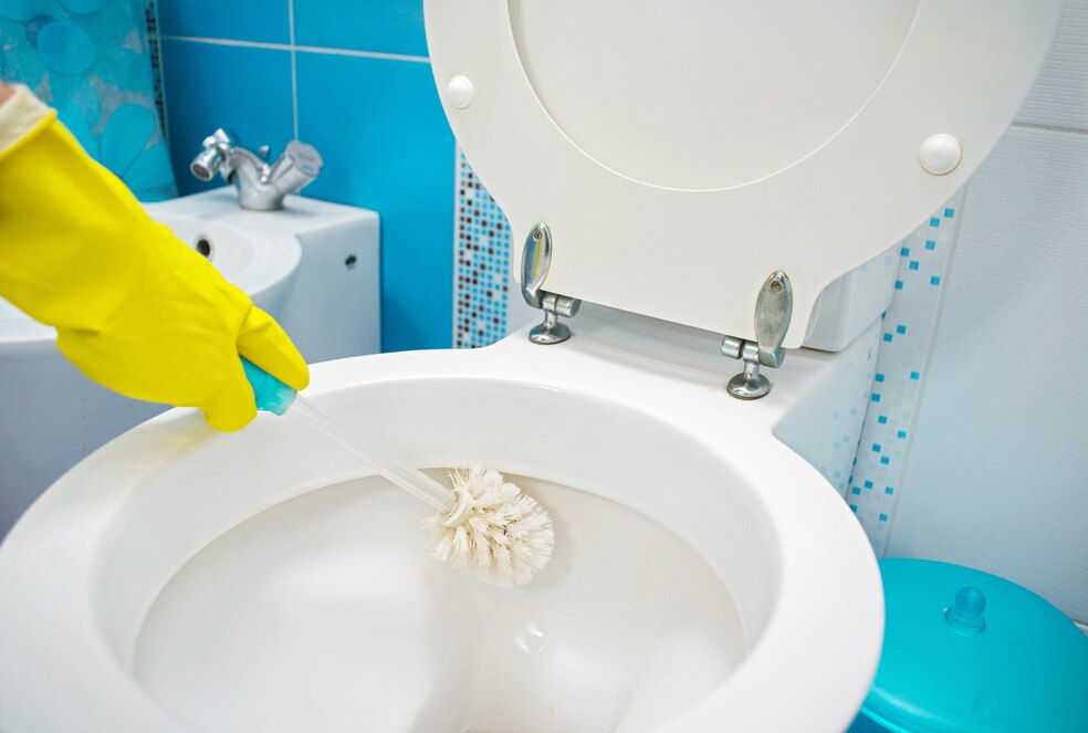 5 Cleaning Products That Could Harm Your Dog PetMD