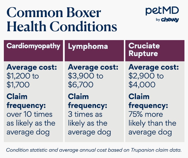 chart depicting a boxer dog's health issues