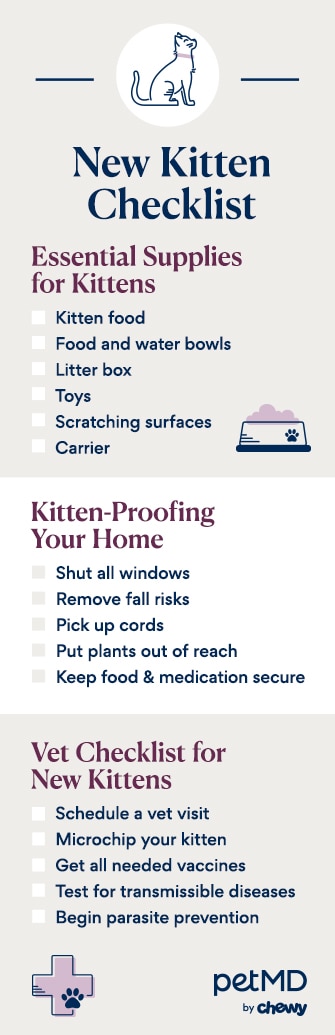 checklist depicting supplies, kitten-proofing, and veterinary care new kittens need