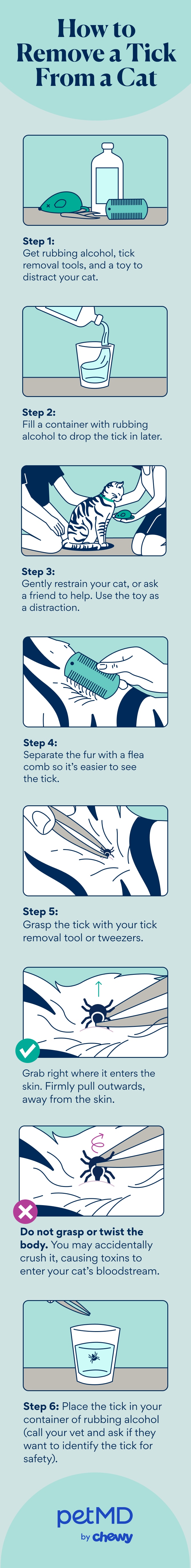 how to remove a tick from a cat