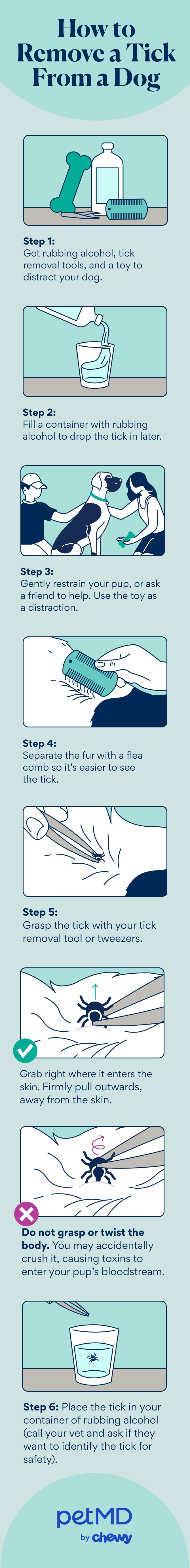how to remove a tick from a dog