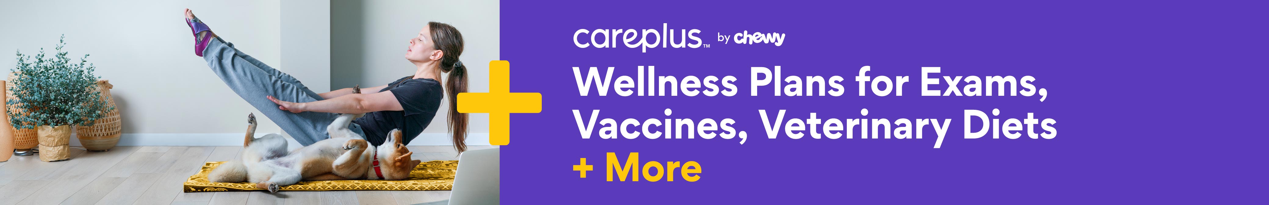 Dog Wellness Plans PetMD