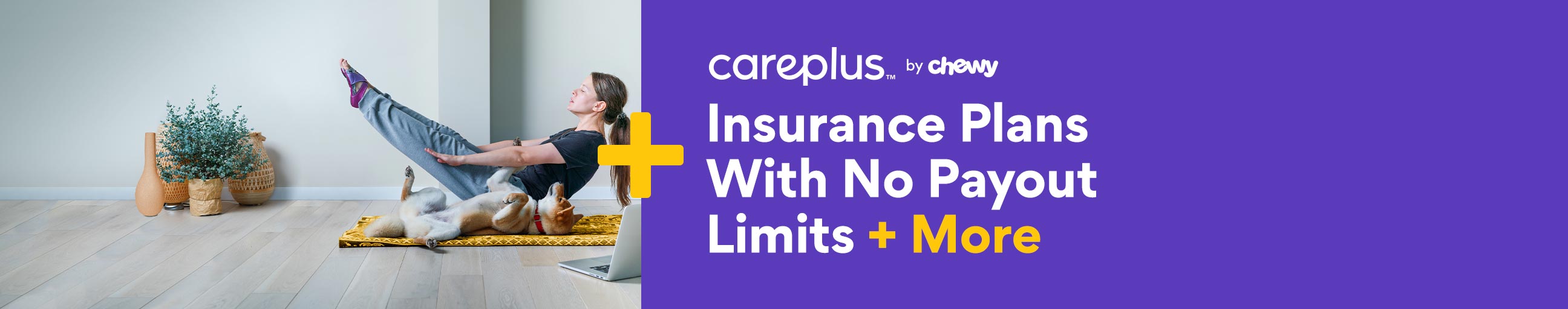 Chewy CarePlus pet insurance