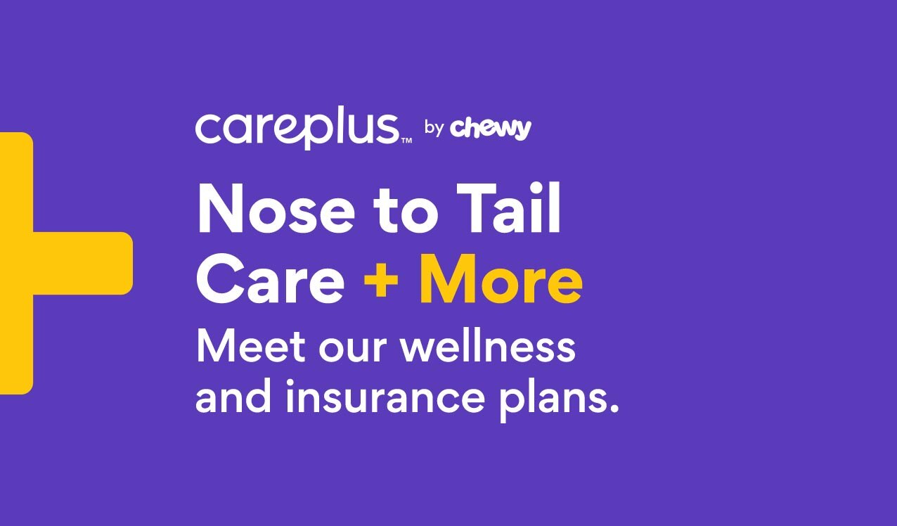 Chewy CarePlus pet insurance