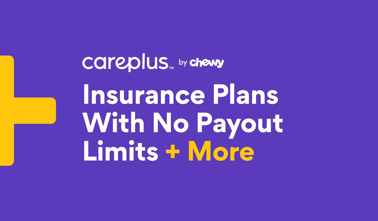 Chewy CarePlus Pet Insurance