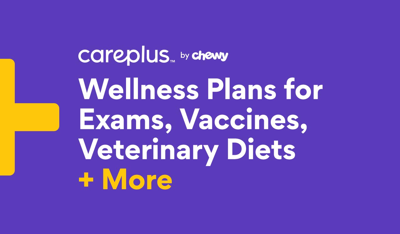 耐嚼的CarePlus猫健康计划
