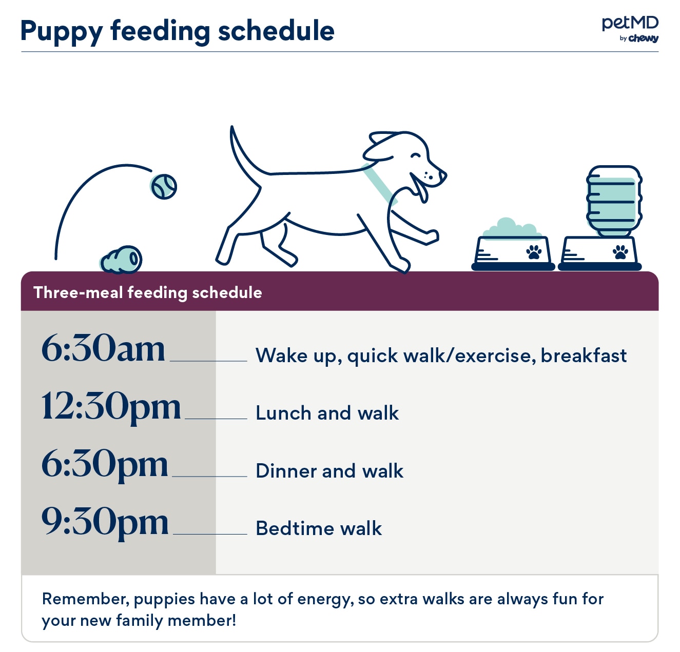 A puppy feeding chart.