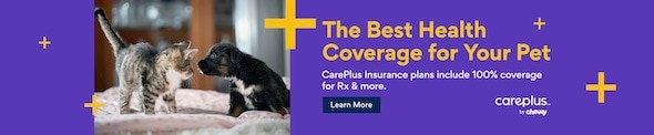 Pet Insurance