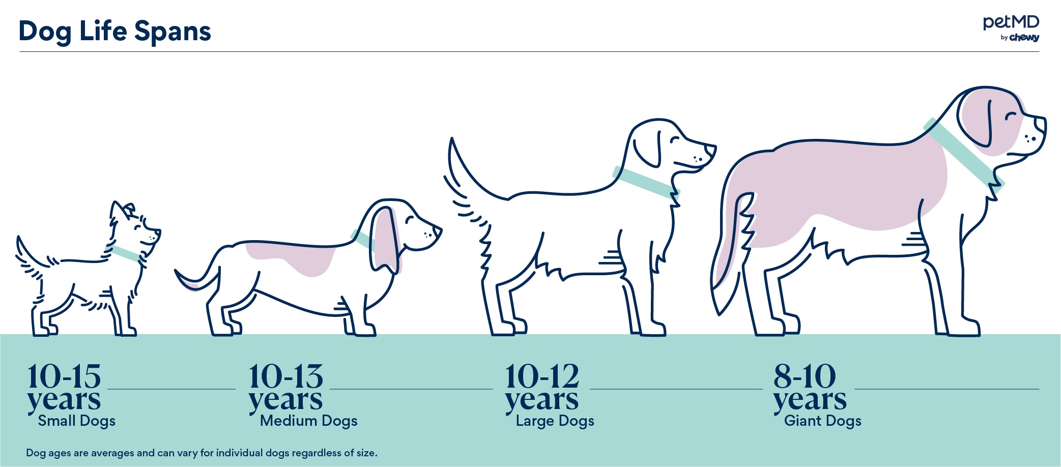chart depicting the average life span of different dog sizes 