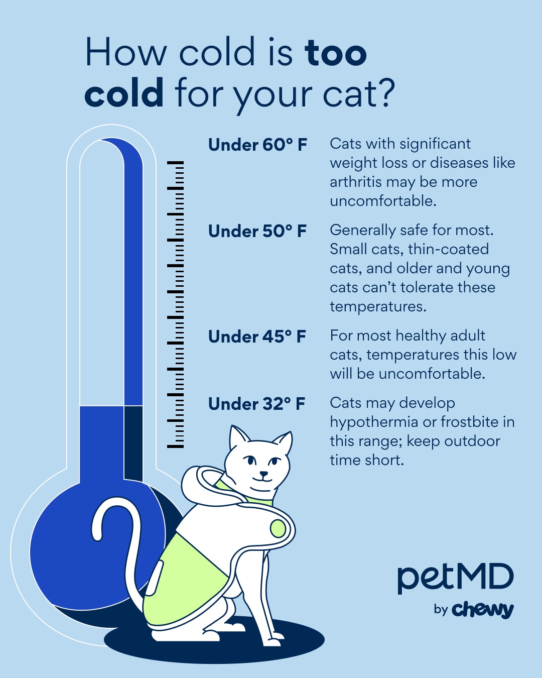 When the temperature falls below 60˚F, start watching for signs of cold stress in your cat