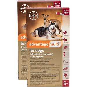 Advantage Multi Topical Solution for Dogs, 20.1-55 lbs